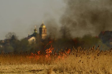 Bataklık dere kıyı bölgesi, Liana aşırı büyüme yangından güçlü duman. Kuru sazlık bahar yangınları tehlikeli nehir tarafından köy evler yaklaşım sazlık, Kuru Çim Temizleme alanları. Doğal felaket