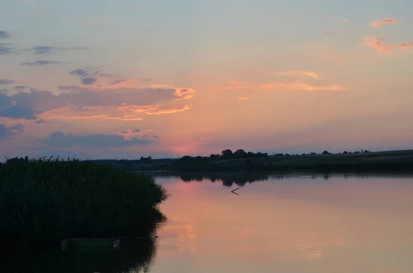 Закат травы на закате реки — стоковое фото
