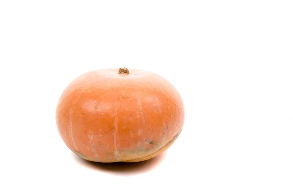 Verse oranje pompoen geïsoleerd op witte achtergrond. — Stockfoto