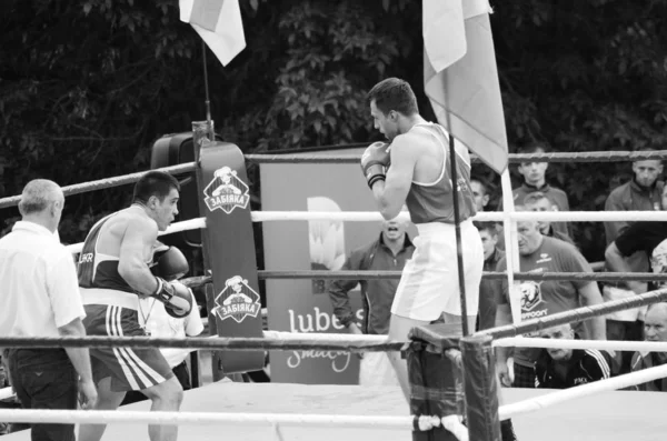 Boxning tävlingar i det öppna luften. Lutsk Volyn region Ukraina, 25.08.17. — Stockfoto