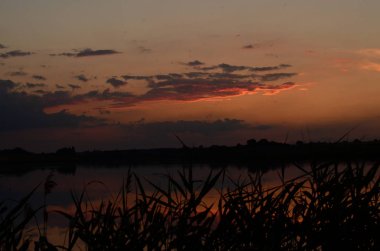 Gün batımında çimenler nehir manzarasında
