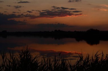 Gün batımında çimenler nehir manzarasında