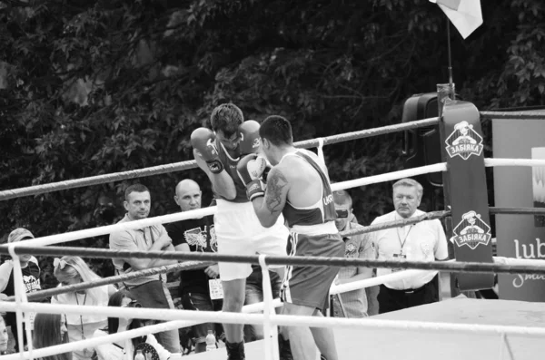 Boxning tävlingar i det öppna luften. Lutsk Volyn region Ukraina, 25.08.17. — Stockfoto