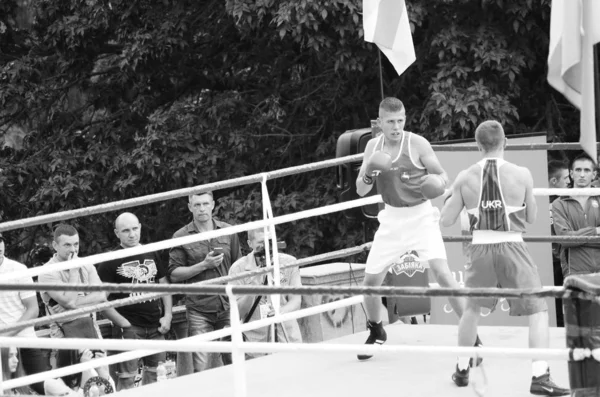 Boxning tävlingar i det öppna luften. Lutsk Volyn region Ukraina, 25.08.17. — Stockfoto
