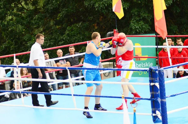 Obwód łucki Wołyński Ukraina, 25.08.17. zawody bokserskie na otwartym powietrzu. Ukraina vs. Polska. — Zdjęcie stockowe