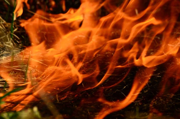 Küstenzone des Sumpfbaches, starker Rauch aus dem Feuer des Lianenbewuchses. Frühlingsfeuer aus trockenem Schilf nähern sich den Häusern des Dorfes gefährlich durch Flussreinigung von Schilfflächen, trockenem Gras. Naturkatastrophe — Stockfoto