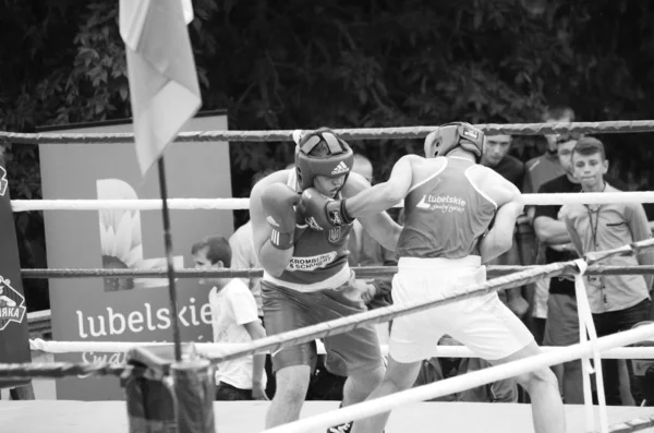 Competições de boxe ao ar livre. Região de Lutsk Volyn Ucrânia, 25.08.17 . — Fotografia de Stock