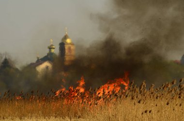 Ateş çimenleri yakar