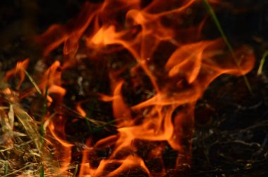 Ateş çimenleri yakar