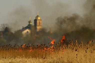 Bataklık dere kıyı bölgesi, Liana aşırı büyüme yangından güçlü duman. Kuru sazlık bahar yangınları tehlikeli nehir tarafından köy evler yaklaşım sazlık, Kuru Çim Temizleme alanları. Doğal felaket