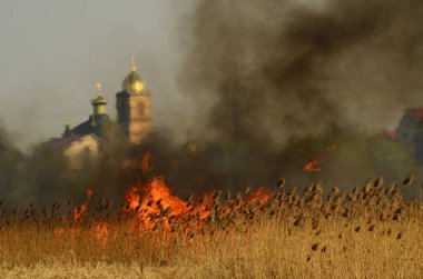 Ateş çimenleri yakar