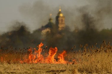 Bataklık dere kıyı bölgesi, Liana aşırı büyüme yangından güçlü duman. Kuru sazlık bahar yangınları tehlikeli nehir tarafından köy evler yaklaşım sazlık, Kuru Çim Temizleme alanları. Doğal felaket