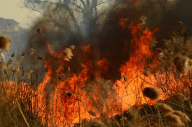 Ateş çimenleri yakar