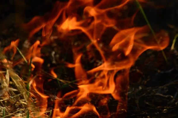 Ateş çimenleri yakar