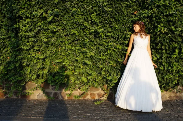 Una Splendida Donna Bellissimo Vestito Bianco Sul Prato Nel Parco — Foto Stock