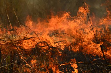 Ateş çimenleri yakar