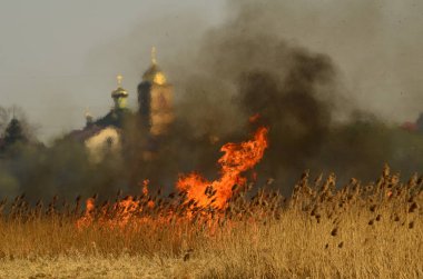 Ateş çimenleri yakar