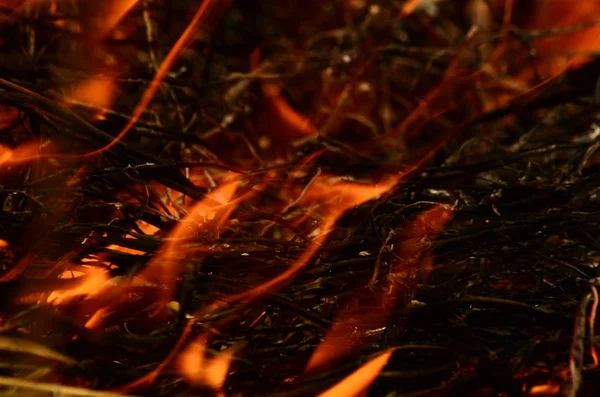 Ateş çimenleri yakar