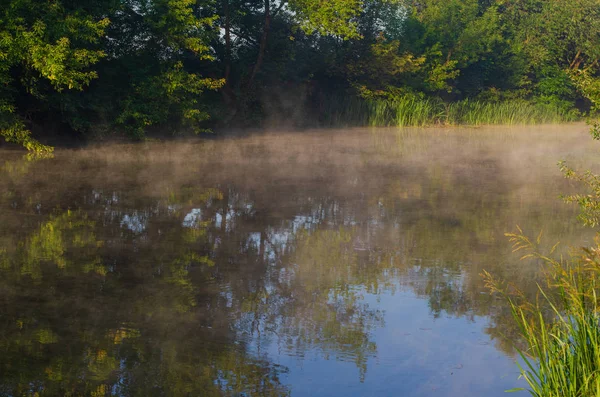 Ochtend op de rivier vroeg in de ochtend rieten mist en water oppervlak op de rivier. — Stockfoto