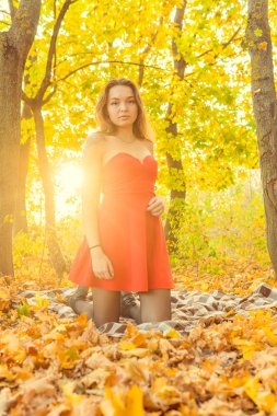 Bir kadın bir sonbahar Park bir kamera önünde poz. Sonbahar fotoğraf çekimi. Sonbahar Park.