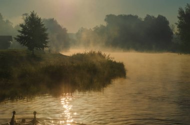Sabahın erken saatlerinde nehirde sis ve su yüzeyi..