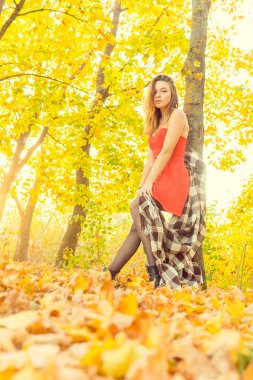 Bir kadın bir sonbahar Park bir kamera önünde poz. Sonbahar fotoğraf çekimi. Sonbahar Park.