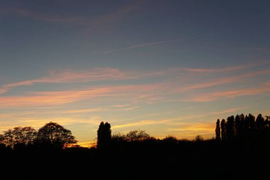 Ağaçların üzerinde güzel bir gün batımı