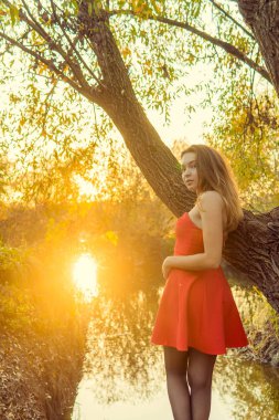 Bir kadın bir sonbahar Park bir kamera önünde poz. Sonbahar fotoğraf çekimi. Sonbahar Park.