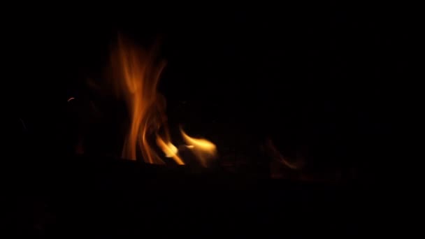 Vuur Vlammen Zwart — Stockvideo