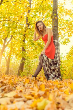 Bir kadın bir sonbahar Park bir kamera önünde poz. Sonbahar fotoğraf çekimi. Sonbahar Park.