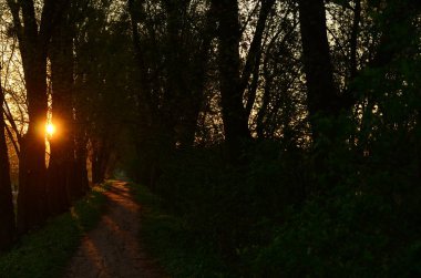Dramatik gün batımı ve gün doğumu gökyüzü.