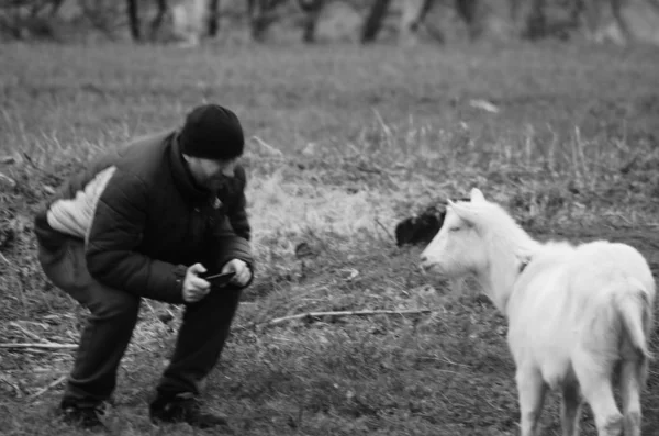 Fotoğrafçı Keçinin Siyah Beyaz Fotoğrafı — Stok fotoğraf