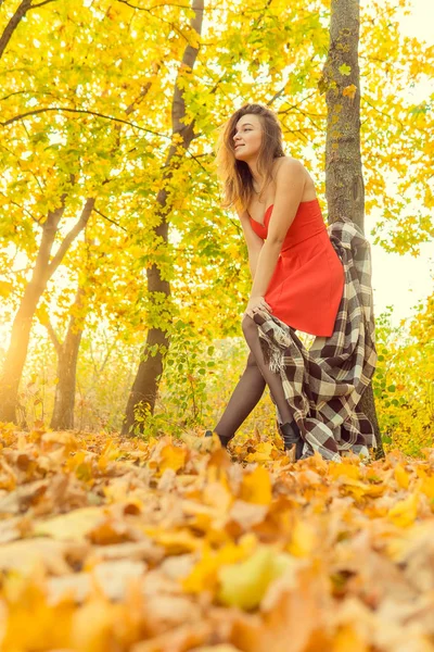 Bir kadın bir sonbahar Park bir kamera önünde poz. Sonbahar fotoğraf çekimi. Sonbahar Park. — Stok fotoğraf