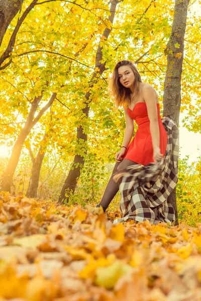 Una mujer posa delante de una cámara en un parque de otoño. sesión de fotos de otoño. Otoño en el parque . —  Fotos de Stock