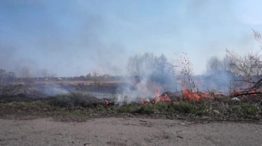 Bataklık Deresi 'nin kıyı şeridi. Liana' nın aşırı büyümesinden çıkan güçlü duman. Kuru sazlıkların bahar ateşi köyün nehir kenarındaki saz tarlaları ve kuru otlarla tehlikeli bir şekilde yaklaştı. Doğal afet.
