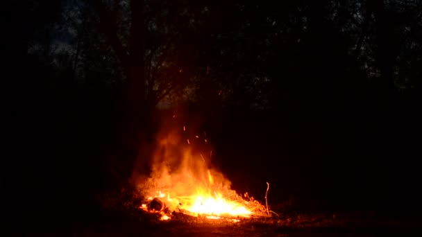 Vue Beau Feu Nuit — Video