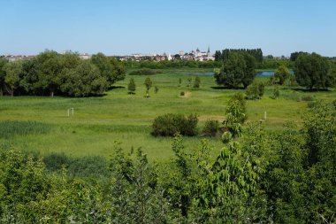 Binalar ve park manzarası