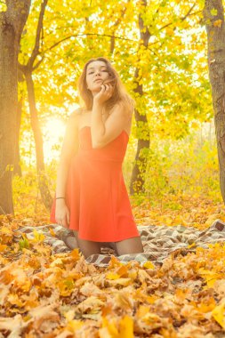 Bir kadın bir sonbahar Park bir kamera önünde poz. Sonbahar fotoğraf çekimi. Sonbahar Park.