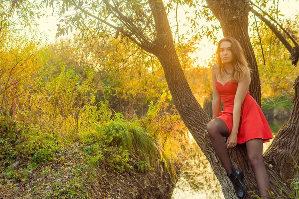 Kobieta jest pozowanie przed kamerą w jesienny park. Jesienna sesja zdjęciowa. Jesień w parku. — Zdjęcie stockowe