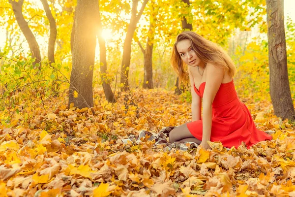 A woman is posing in front of a camera in an autumn park. autumn photo shoot. Autumn in the park. — Stock Photo, Image