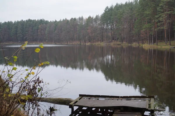 Красиві гірські озеро Марічейка в українських Карпатах. Сонячний літній день. Української природи красивих місць країни. Буферна зона. — стокове фото