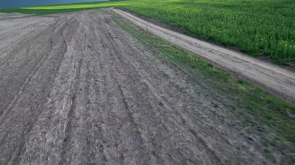 Bel paesaggio drone aereo.Filmato di campo di tulipani in fiore nei Paesi Bassi. Videocamera elicottero volante scatta tulipani colorati che crescono in campi agricoli fuori Amsterdam, nell'Olanda settentrionale . — Foto Stock