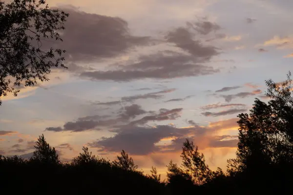 Zöld mező és gyönyörű naplemente — Stock Fotó