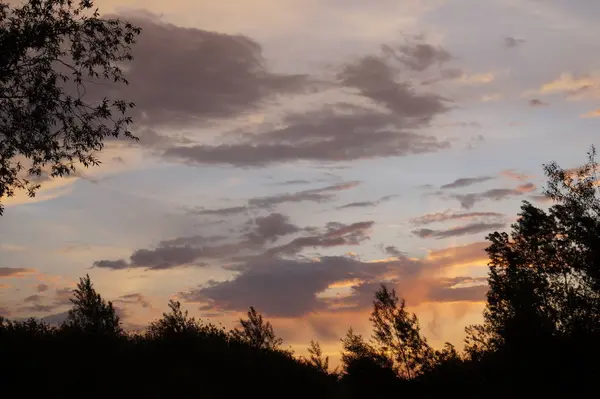 Champ vert et beau coucher de soleil — Photo