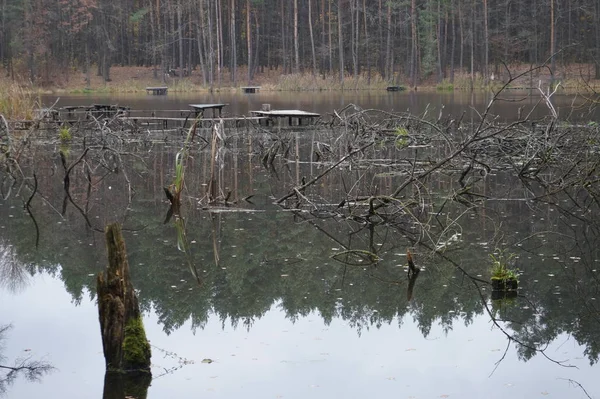 Belo lago de montanha Maricheika nos Cárpatos ucranianos. Dia ensolarado de verão. Natureza ucraniana dos belos lugares do país. Zona tampão . — Fotografia de Stock