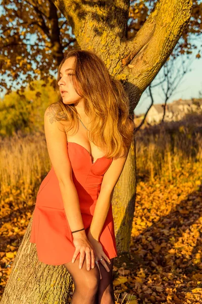 Uma mulher está posando na frente de uma câmera em um parque de outono. sessão de fotos de outono. Outono no parque . — Fotografia de Stock