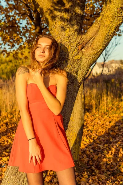 Uma mulher está posando na frente de uma câmera em um parque de outono. sessão de fotos de outono. Outono no parque . — Fotografia de Stock