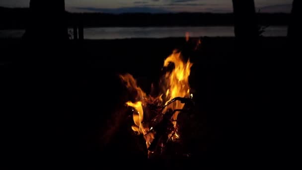 夜の火災の眺め — ストック動画