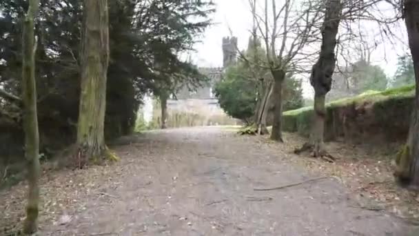 Riprese Della Strada Del Giardino Del Castello Karlstejn Europa — Video Stock