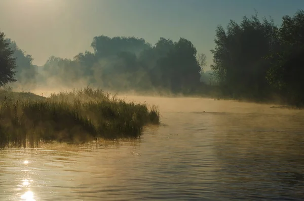 Ochtend op de rivier vroeg in de ochtend rieten mist en water oppervlak op de rivier. — Stockfoto